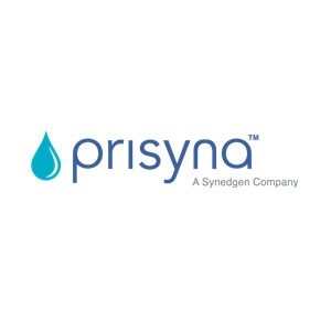 Prisyna